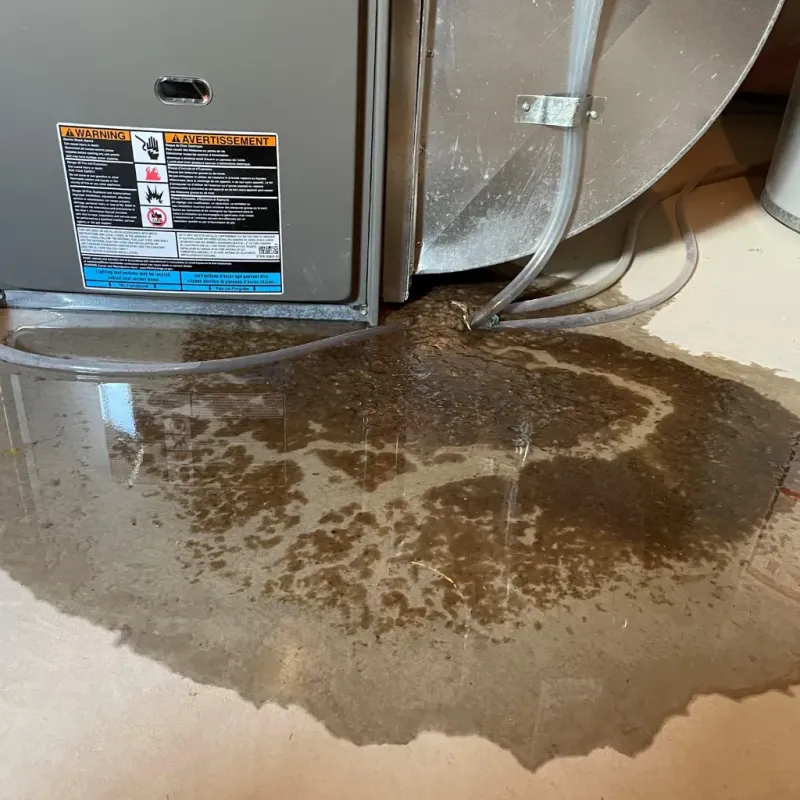 Appliance Leak Cleanup in Wilsons Mills, NC